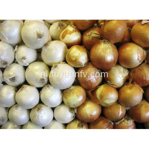 Professional Export Fresh Yellow Onion